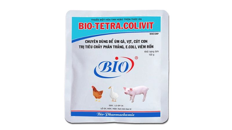 Thuốc úm gà BIO – Tetra.Colivit có hiệu quả cao trong việc chăm gà mới nở