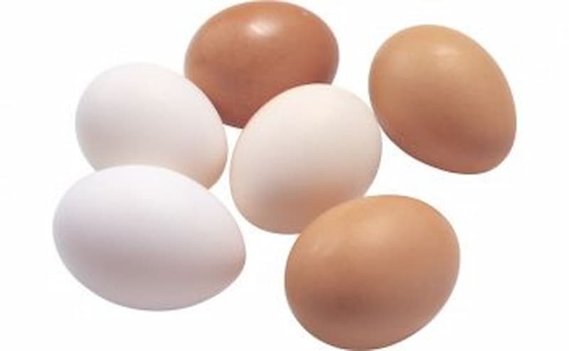 Trứng của gà ai cập