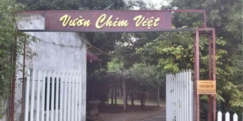 Vườn chim Việt - Địa chỉ mua gà đá Lôi uy tín và chất lượng