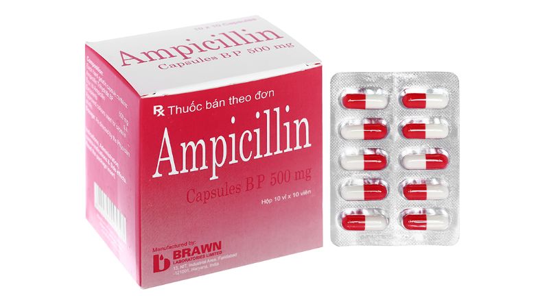 Ampicillin là một loại thuốc kháng sinh thuộc nhóm penicillin