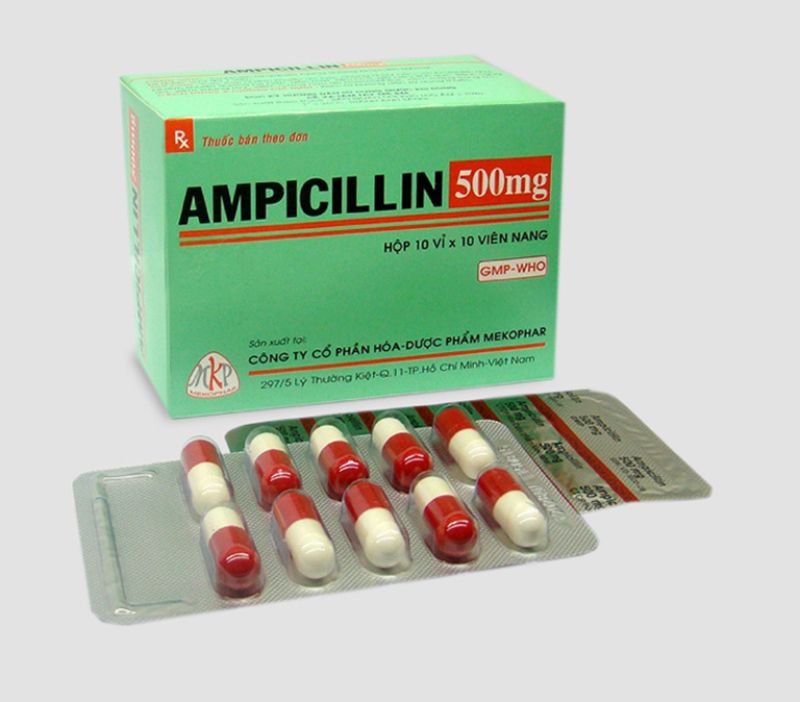 Ampicillin có thể gây tác dụng phụ ở gà